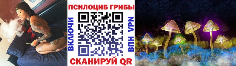Псилоцибиновые грибы прущие грибы  Бикин 